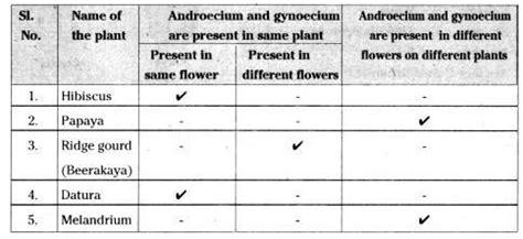 please tell me fast - Brainly.in