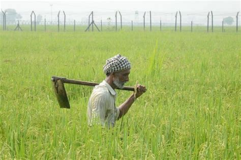 Govt Finally Releases Data: 11,379 Farmers Committed Suicide In 2016 ...