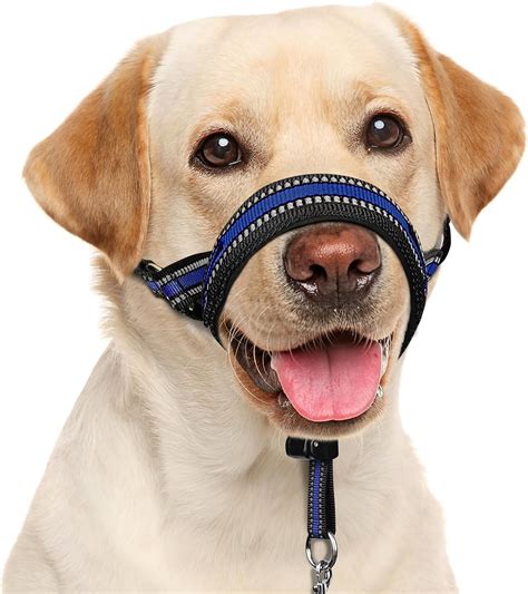 Amazon.com : BARKLESS Soft Dog Head Collar, Padded No Pull Head Halter ...