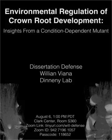 PhD Dissertation Defense - Will Viana, "Insights for a Condition ...