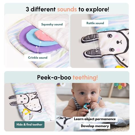 Play Gym – Curious Cub
