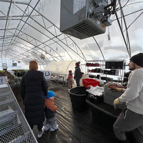 THE LITTLE FARM THAT COULD: Tutto quello che c'è da sapere