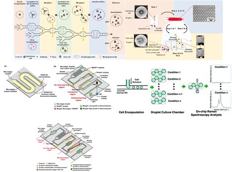 Image result for High-Throughput Screening