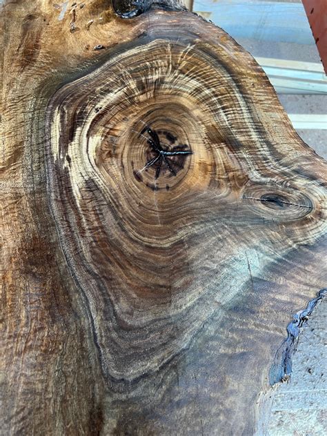 Walnut Wood Slab 38" x 18" x 1 1/8" - Frison-Logue Hardwoods