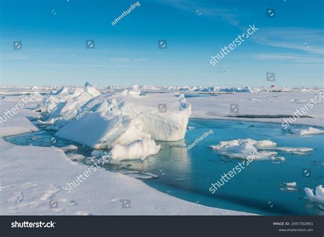 North Pole 的图像结果