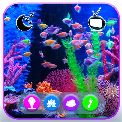 Aquarium Underwater Marine Life Screensaver For Fire TV & Fire Tablets ...