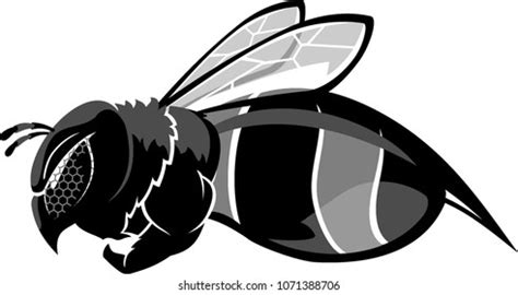 Image result for Bee Flying Side View