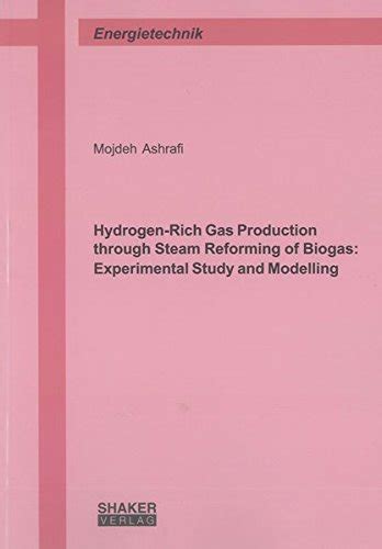 Hydrogen-Rich Gas Production Through... by Ashrafi, Mojdeh
