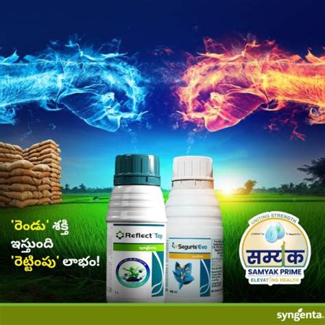 సమ్యక్ ప్రైమ్రెం - డు' శక్తి ఇస్తుంది 'రెట్టింపు' లాభం | Syngenta
