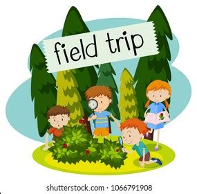 Image result for Example of Pattern Check