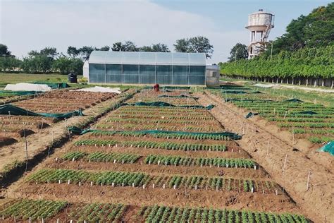 Indian Institute of Vegetable Research: Admission 2026, Fees, Varanasi