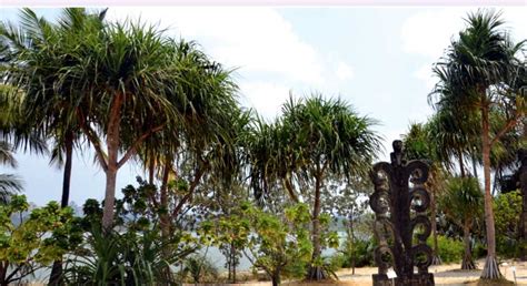 UNIQUE TREES - Outdoor Luxury