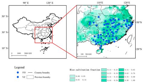 Impacts of Climate and Phenology on the Yields of Early Mature Rice in ...