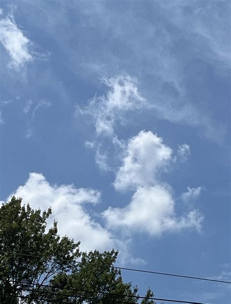 Is that you Brent? : r/gratefuldead