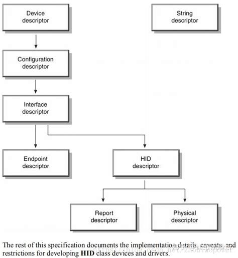 HID Examples 的图像结果