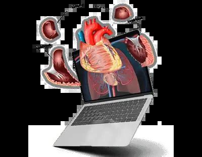 Rank Higher with Animated Lessons & AI Quizzes | Home Revise Learning App