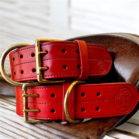 Premium Collars | The K9 Store