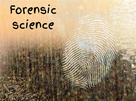 Forensic Science 的图像结果