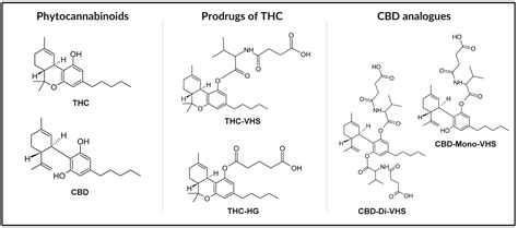 Cannabis Medicine 2.0: Nanotechnology-Based Delivery Systems for ...