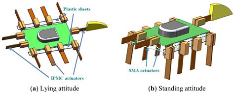 A Novel Soft Biomimetic Microrobot with Two Motion Attitudes