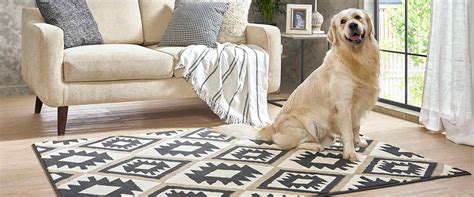 Collections – myTrident India