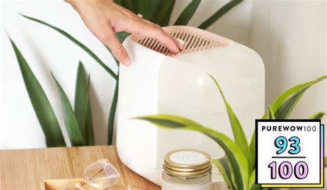 Image result for Mini Canopy Humidifier