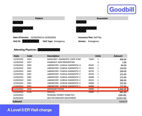 What is a Level 5 Emergency Room Visit, and Why Does it Cost So Much?