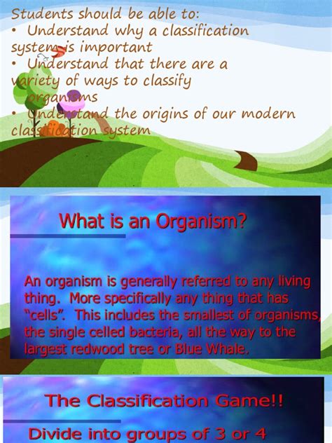 Classification Systems 的图像结果