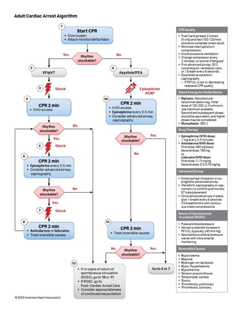 Asystole ACLS Algorithm 的图像结果