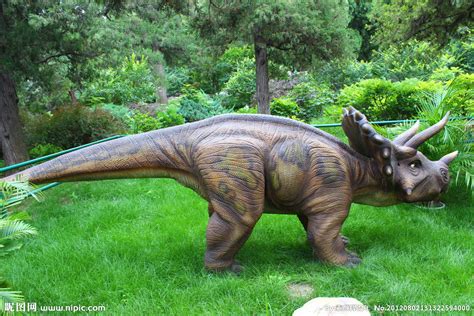 从恐龙时代幸存下来的动物有哪些？_恐龙趣闻_自贡恐龙，有趣的恐龙，恐龙展，恐龙公园，恐龙大百科_自贡电动仿真恐龙仿生动物机模道具雕塑工厂家