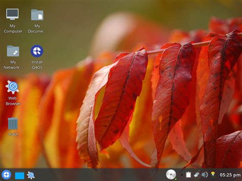 Image result for Q4OS Trinity Network Connection
