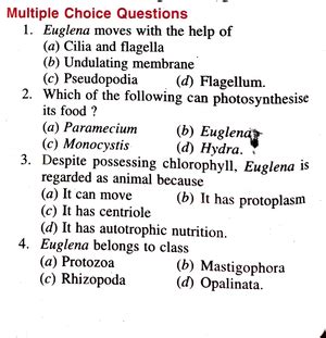 Euglena general notes-zoology - Zoology - Studocu