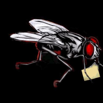 Image result for Filesfly20