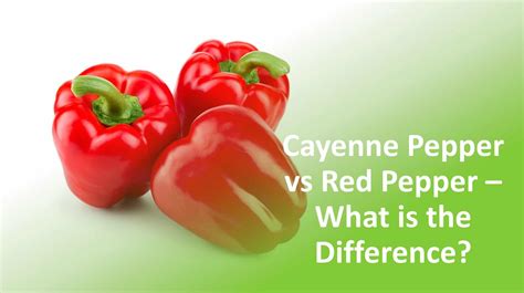 Do Dogs Like Cayenne Pepper
