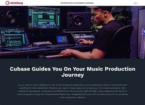 Image result for Video Voice Over Software for PC