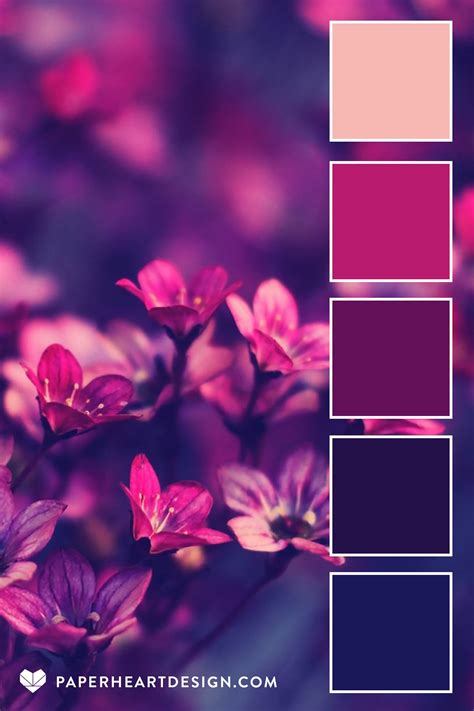 Elegant Floral Color Palette - Inspiring Pink, Magenta, and Purple Tones