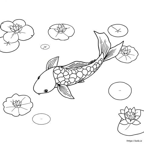 Koi Fish Colouring Pages