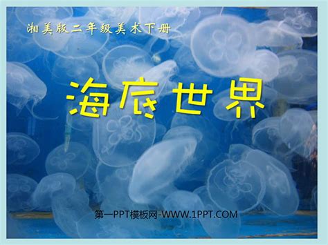 《海底世界》PPT课件下载 - 第一PPT