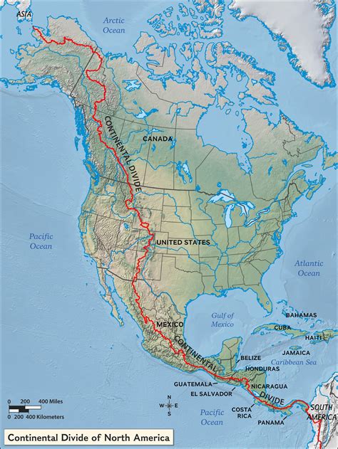 Image result for Bayer Pattern Example
