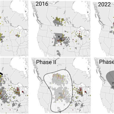 CWD Sampling 的图像结果