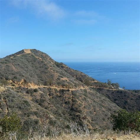 Trans-Catalina Trail (Catalina Island) - Lohnt es sich? Aktuell für ...