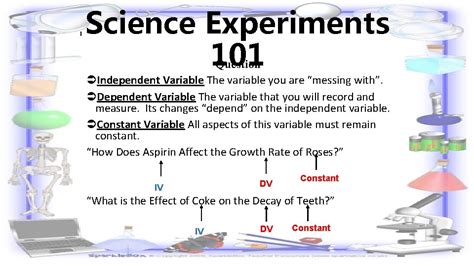 Image result for Independent Variable Science Project