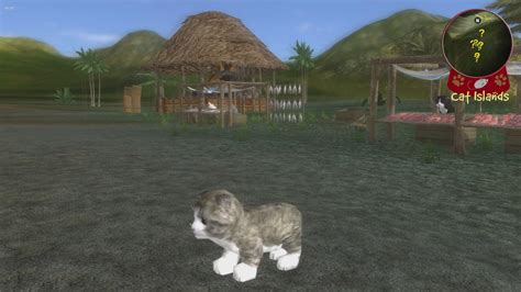 休闲新作《旅行猫猫：探险之岛》上架Steam_3DM单机