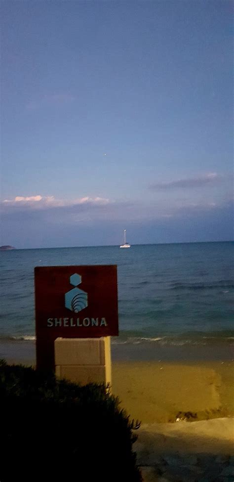 SHELLONA ROOMS & APARTMENTS (Laganas, Zakynthos) - Guesthouse Reviews ...