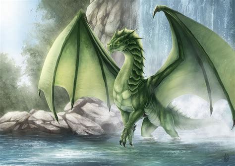 Animal Simulator Roblox Dragon 的图像结果