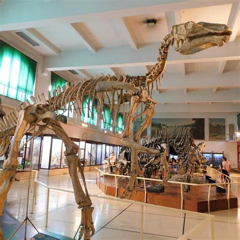 MUSEO ARGENTINO DE CIENCIAS NATURALES BERNARDINO RIVADAVIA (2026) All ...