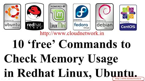 Check Storage in Linux 的图像结果