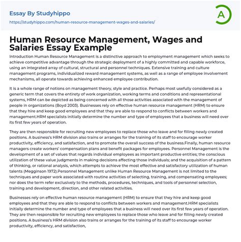 Human Resource Management, Wages and Salaries Essay Example | StudyHippo.com