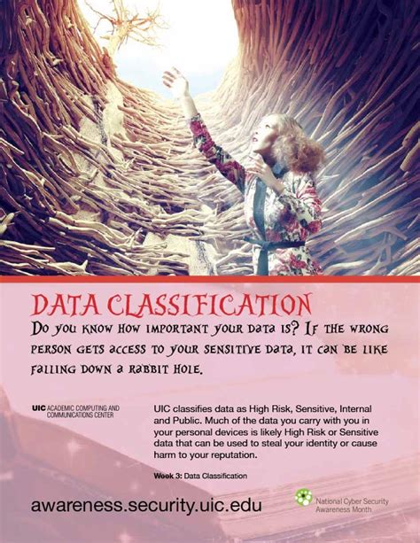 Image result for Data Classification Awareness Poster