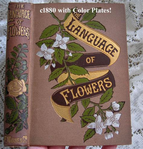Language of Flowers Book 4 Color Plates FINE Lily of the Valley Fern Honeysuckle Gilt